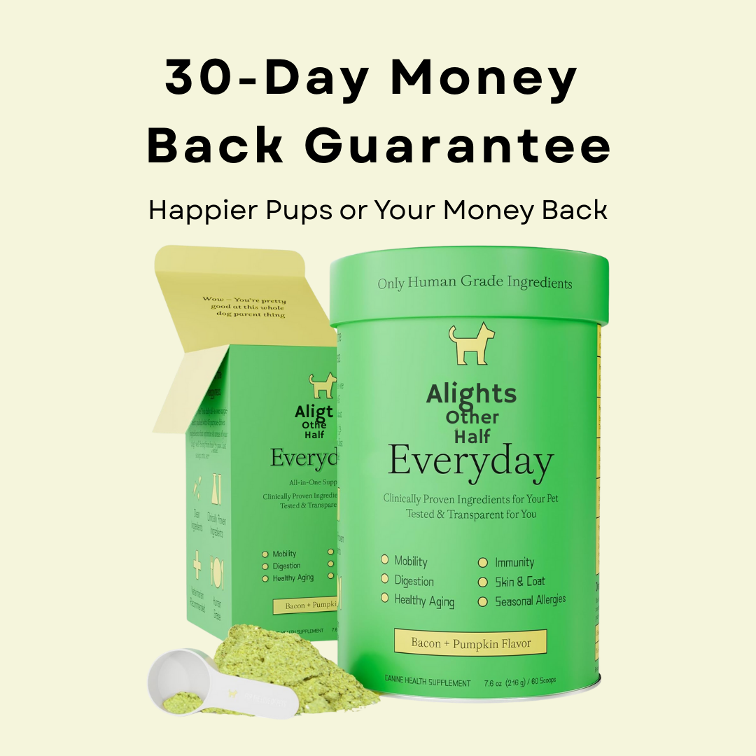 Everyday Dog Multivitamin