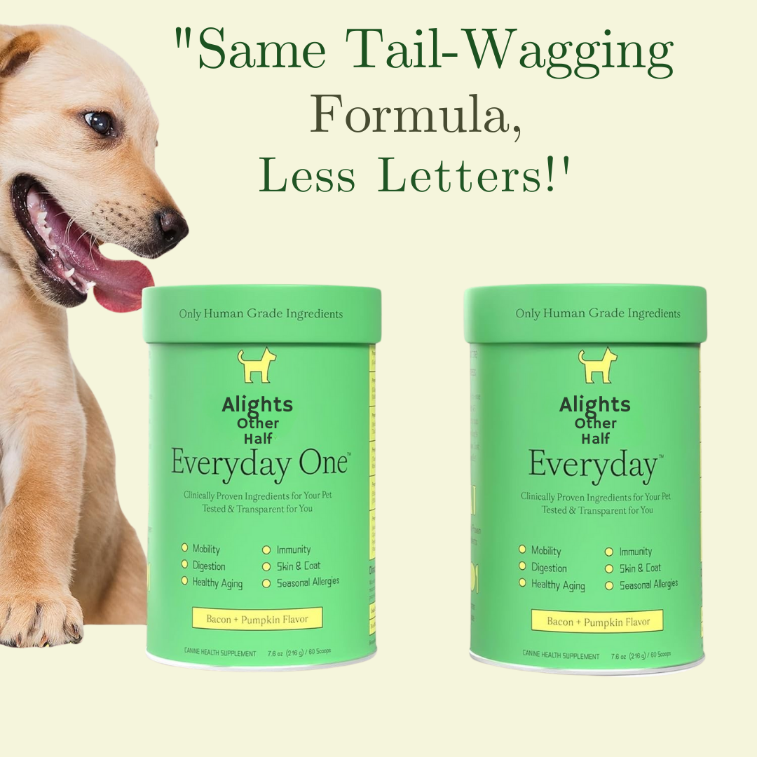 Everyday Dog Multivitamin