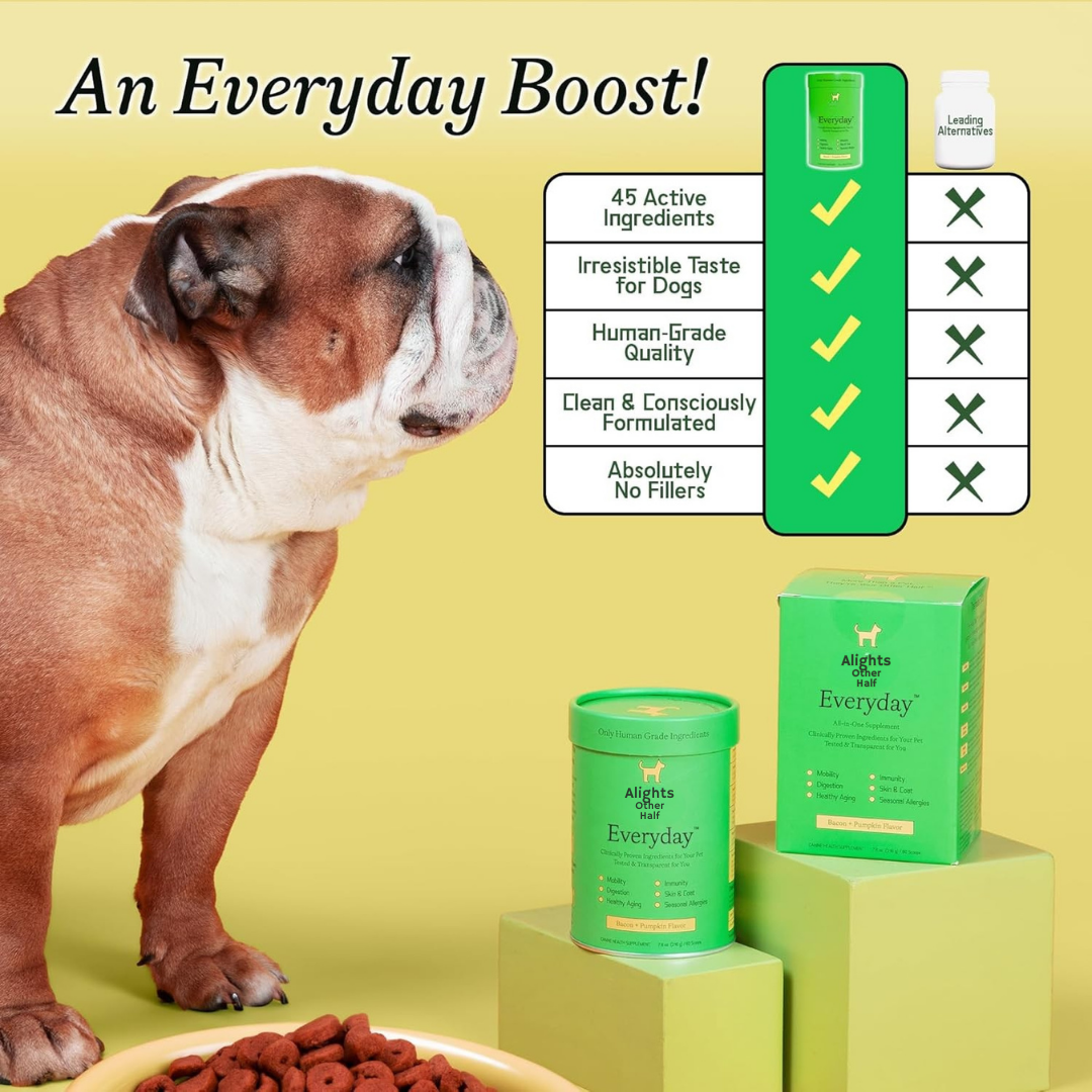 Everyday Dog Multivitamin