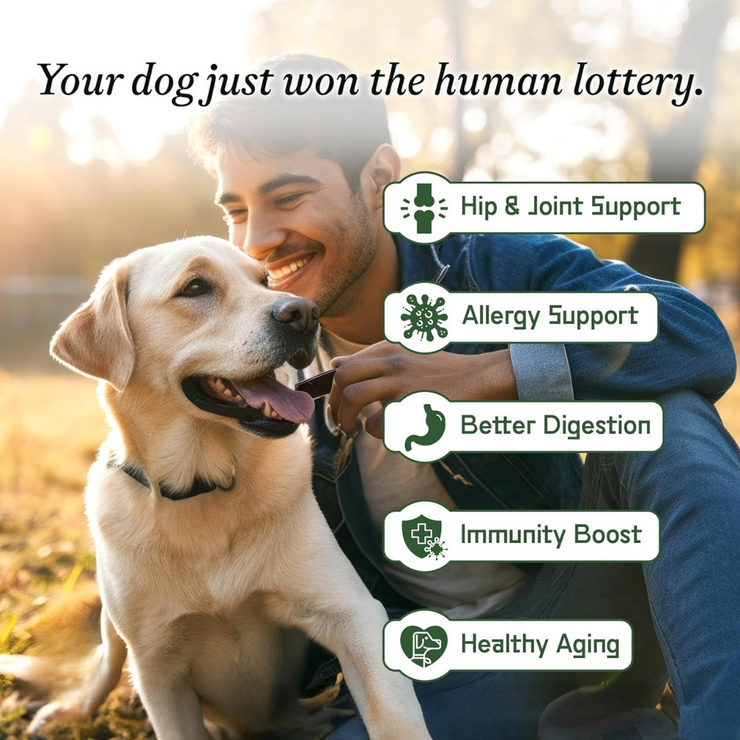 Everyday Dog Multivitamin