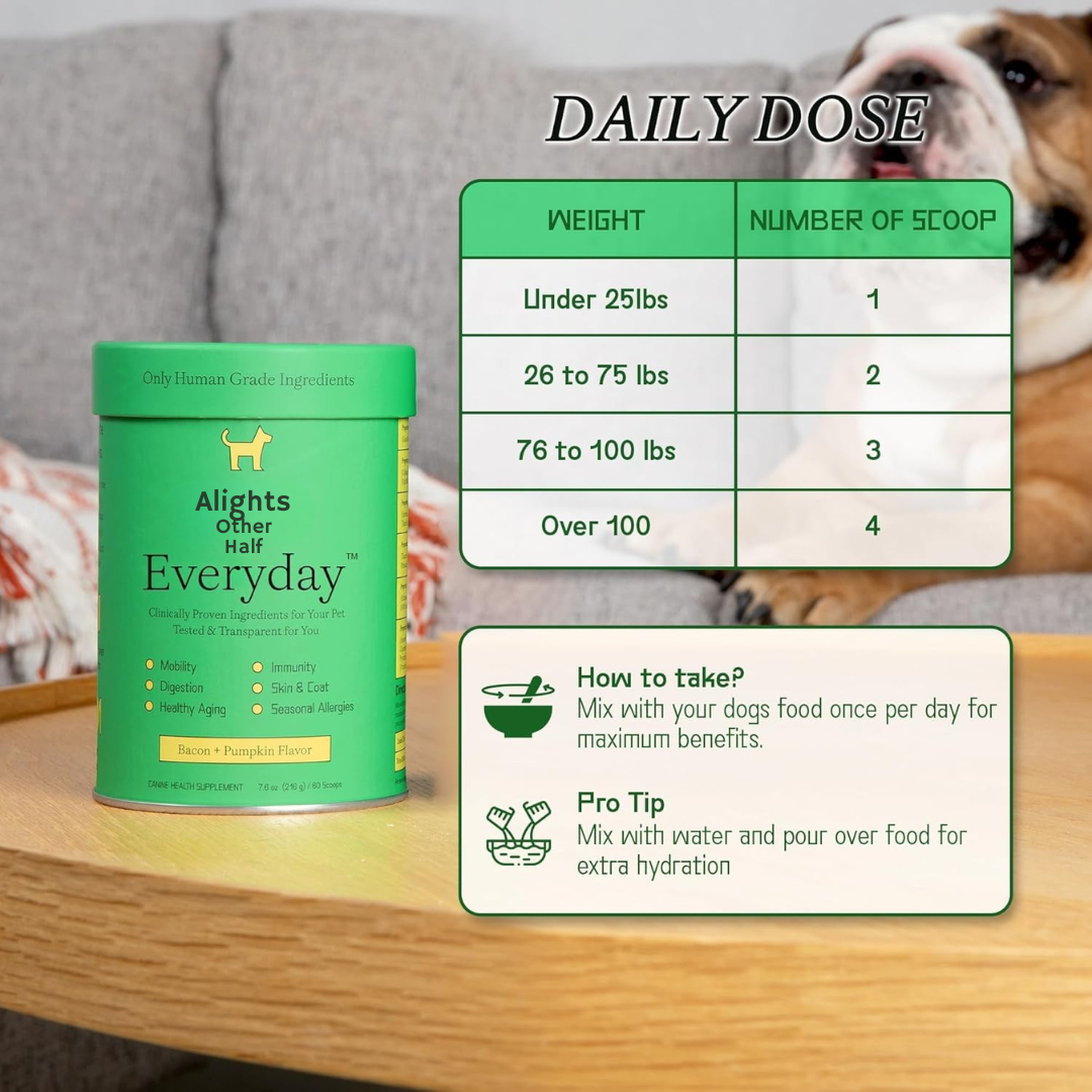 Everyday Dog Multivitamin